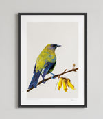 Load image into Gallery viewer, nz bird art
