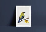 Load image into Gallery viewer, kiwi bird art
