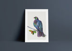 Load image into Gallery viewer, wood pigeon nz
