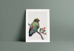 Load image into Gallery viewer, nz bird art
